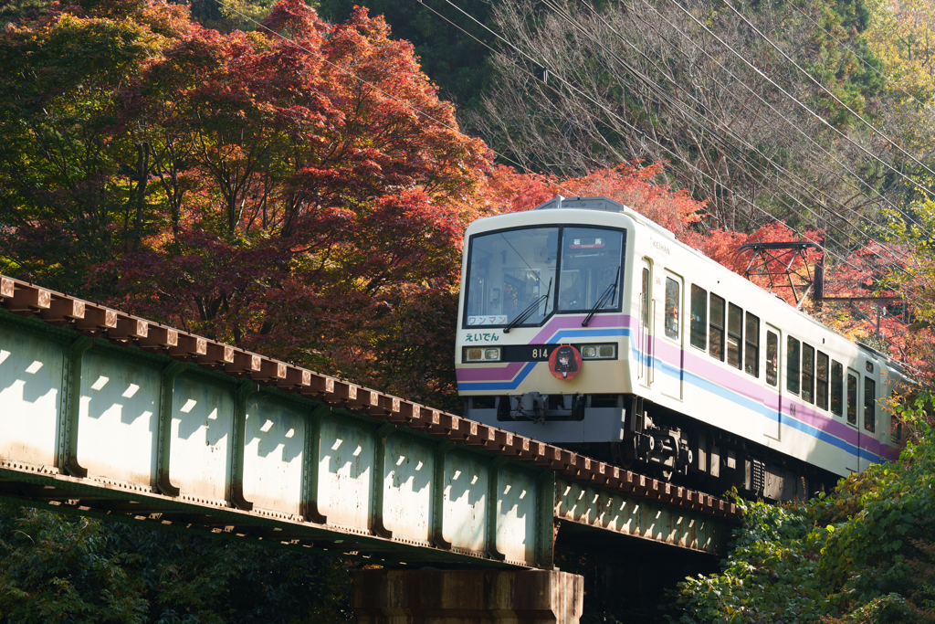 秋の叡山電車