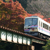秋の叡山電車