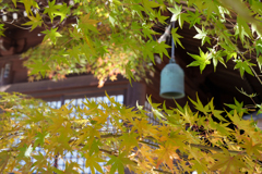 秋の本土寺