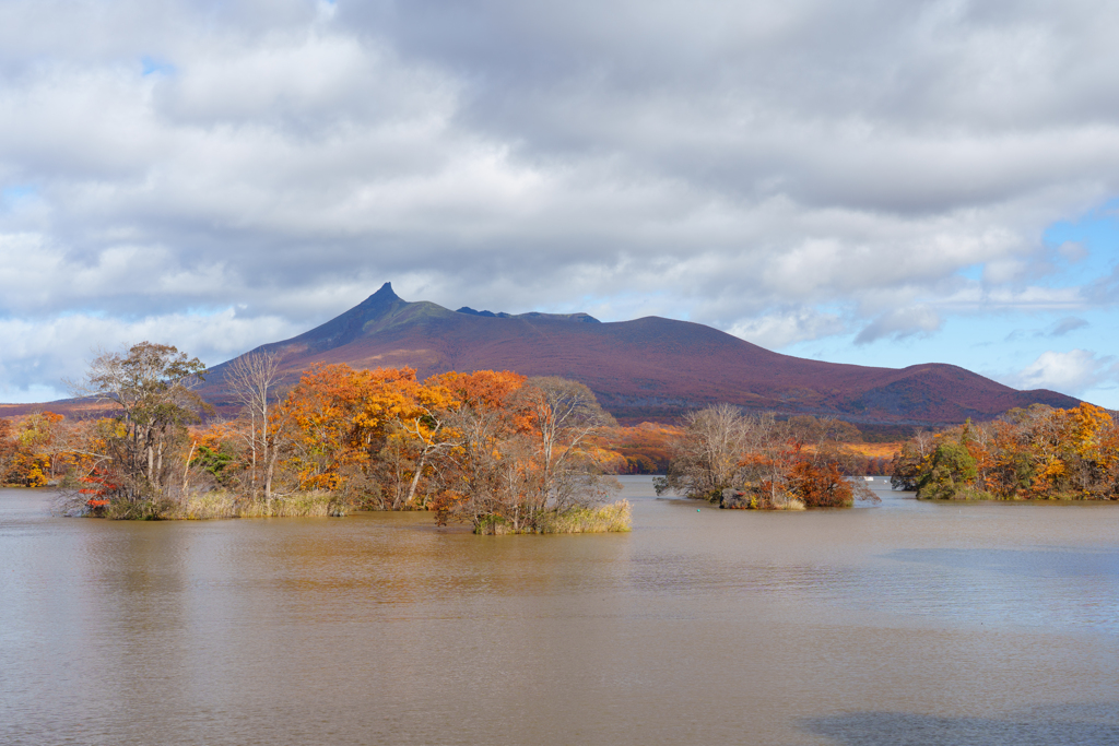 秋の大沼国定公園