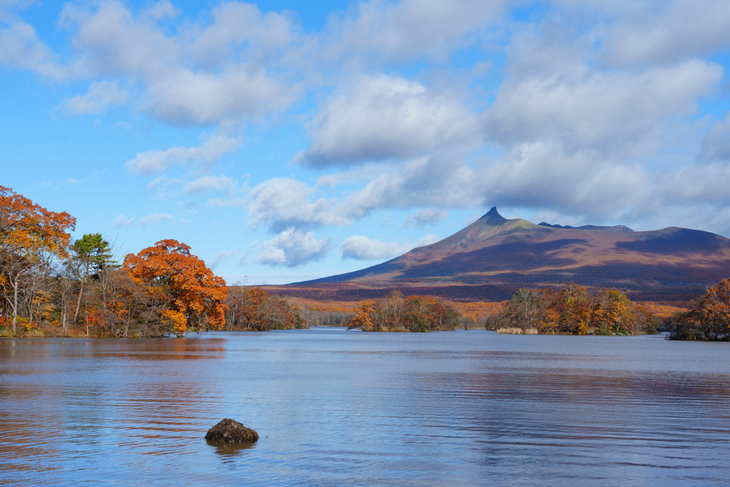 秋の大沼国定公園