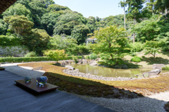6月の円覚寺