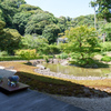 6月の円覚寺