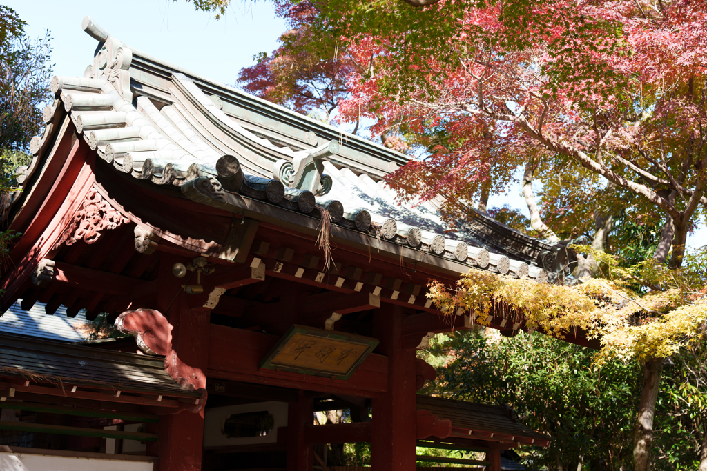 秋の本土寺