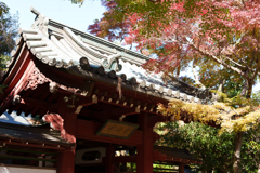 秋の本土寺