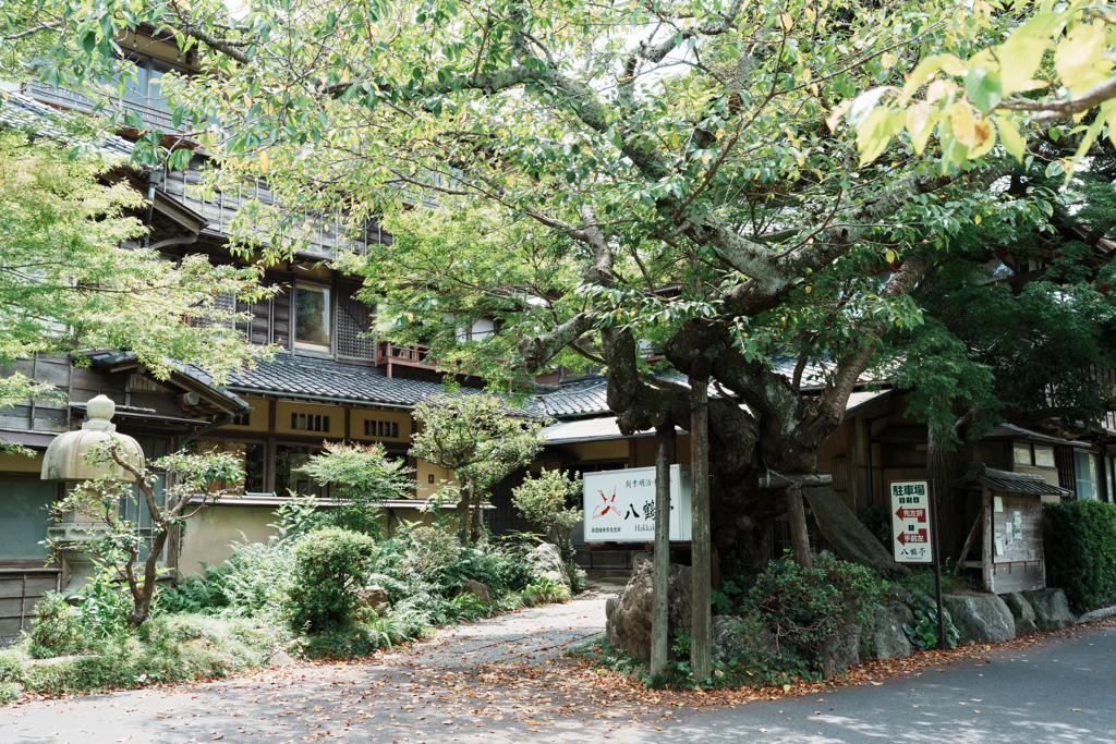 緑陰に佇む木造建築
