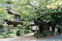 緑陰に佇む木造建築