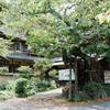 緑陰に佇む木造建築
