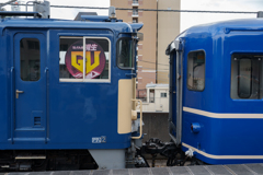 SLGVぐんまイベント両毛線