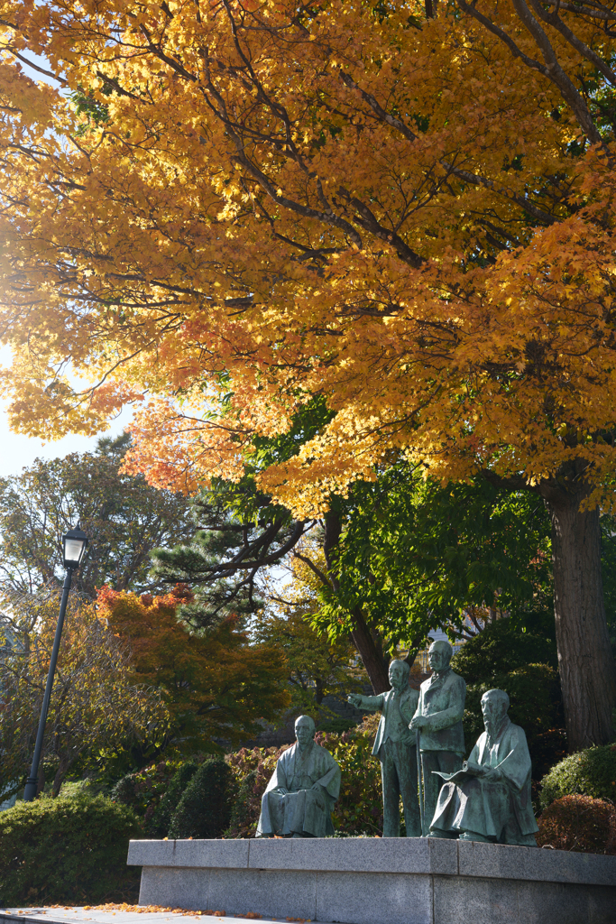 秋の函館