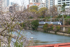 中央線と桜