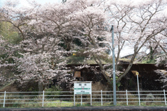 春の磐越東線舞木駅