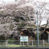 春の磐越東線舞木駅