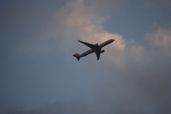 夕暮れの飛行機