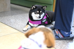 漏れる感情