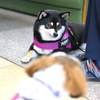 漏れる感情