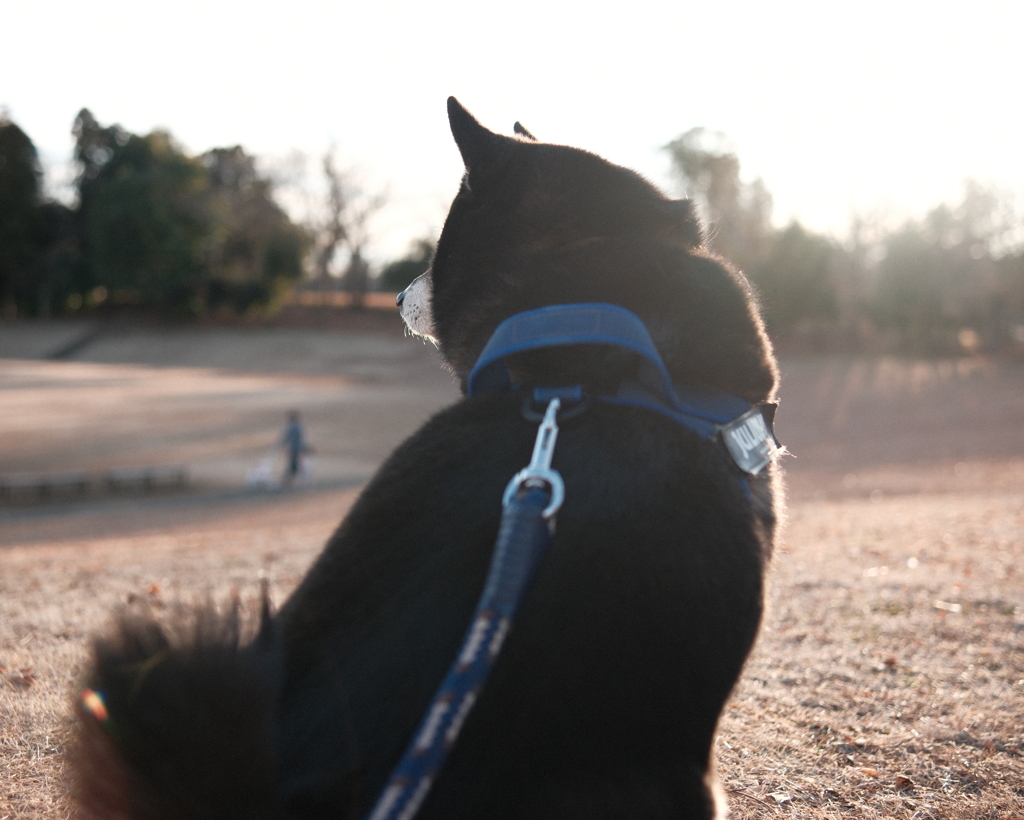 そろそろ帰ろうか