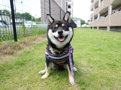 お気に入りだった場所