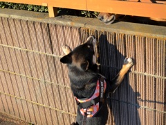 あいさつ