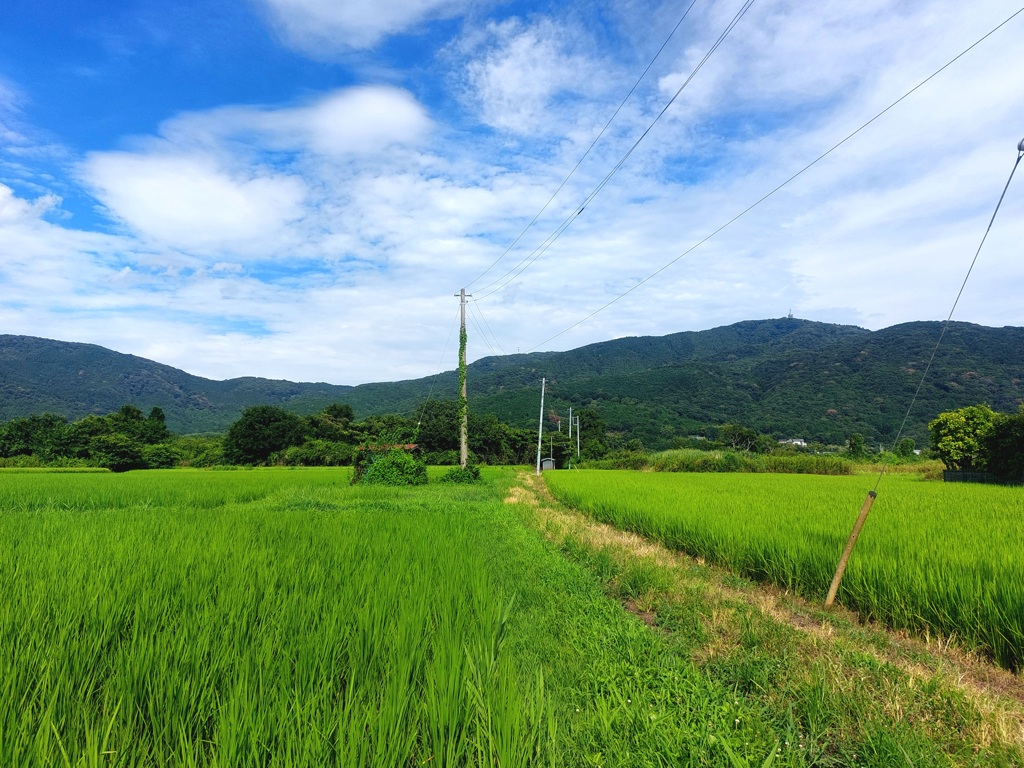 田園風景