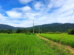 田園風景