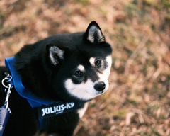 そろそろ帰ろうか