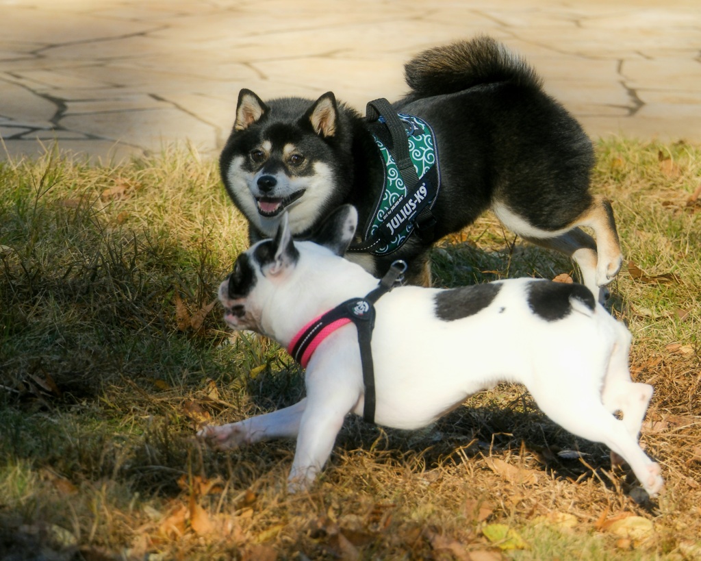 いっしょにいるとたのしいね