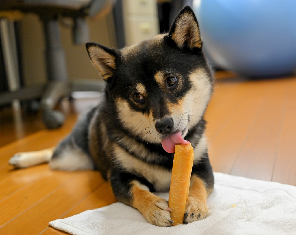 古い写真　　アイスキャンディーみたい