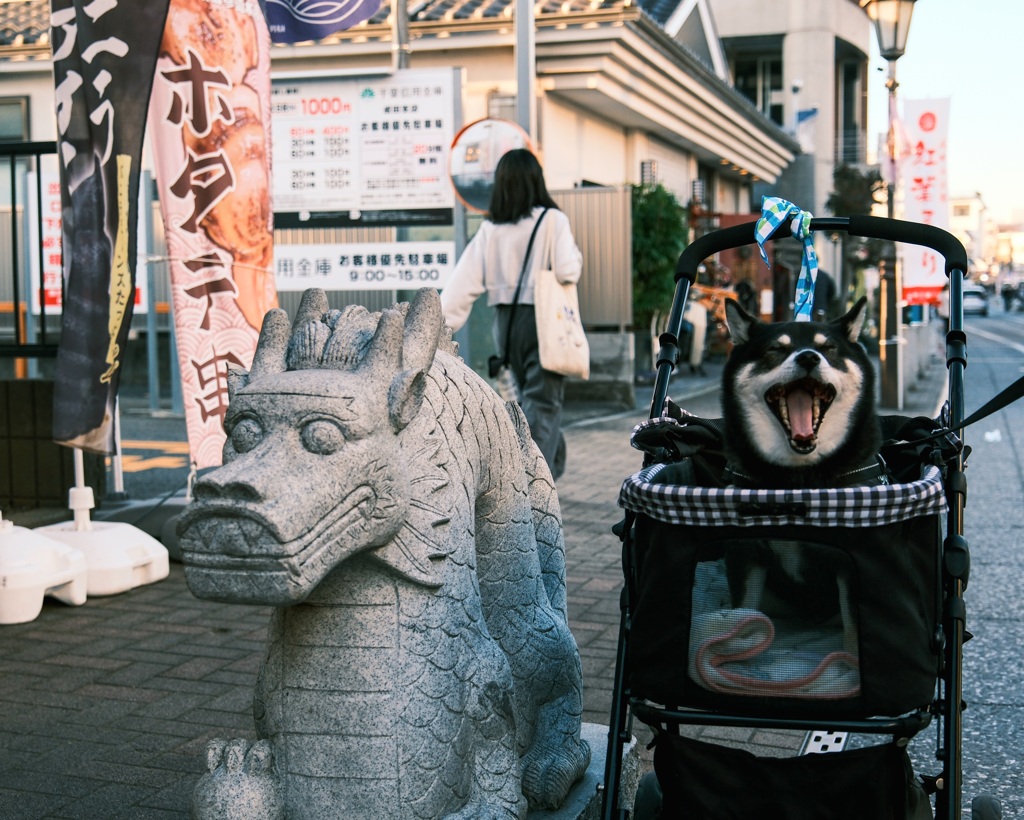 成田山参道にて