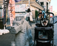 成田山参道にて