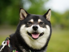 大好きな公園