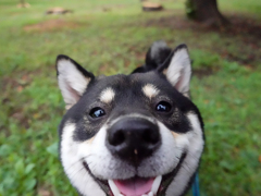 何それ～