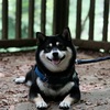 スッカン沢に行ったよ