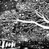 近所の公園