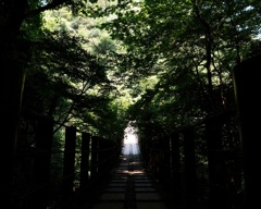 吊り橋