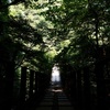 吊り橋