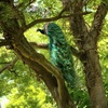 木の上の孔雀