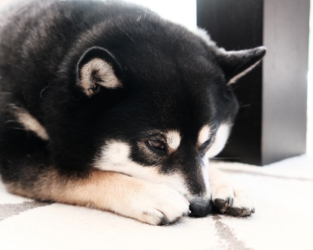 ボ～ッと過ごす