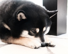 ボ～ッと過ごす