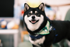 ちょっと元気が戻ったかな