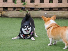 一緒に遊ぼうよ