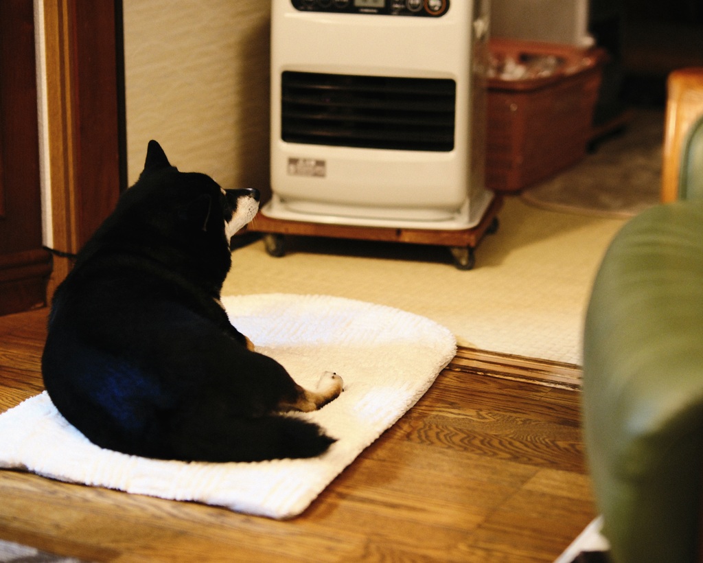 はぁ～　極楽、極楽