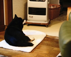 はぁ～　極楽、極楽