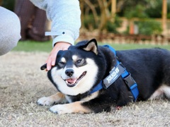 やめてってば～（喜）