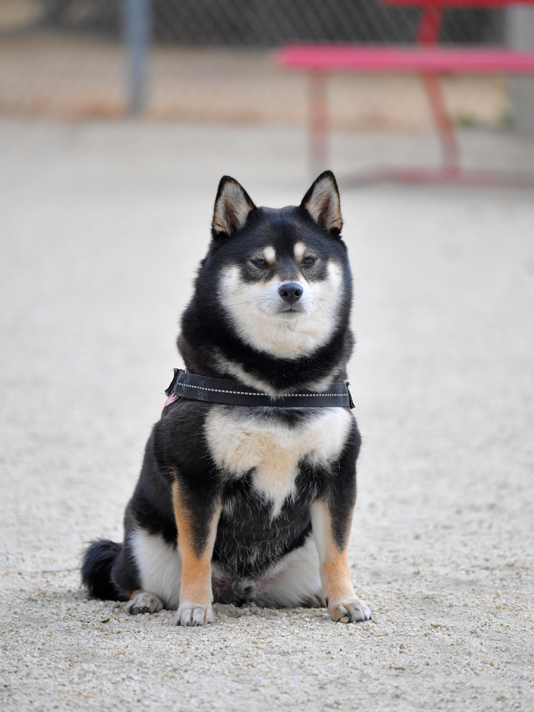 誰もいないじゃん