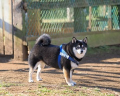 ムチムチムッチー