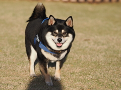 楽しいね