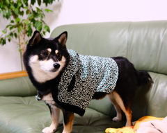 なんか嫌なんだけど