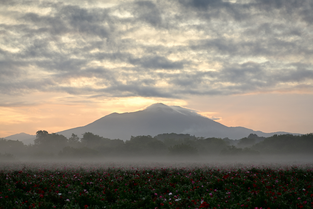 朝もやの筑波山