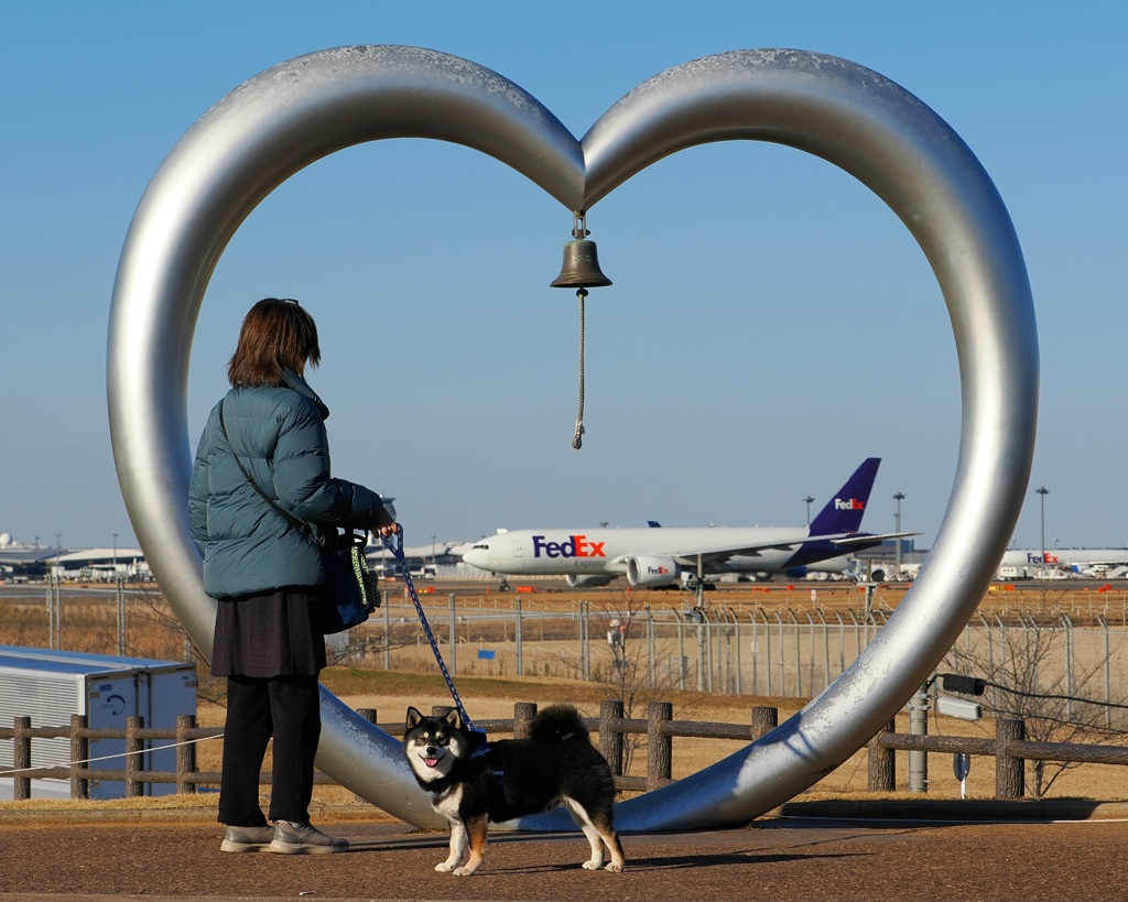 飛行機を見に行ったよ